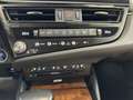 Lexus ES 300 300h Privilege Line Verde - thumbnail 23