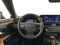 Lexus ES 300 300h Privilege Line Verde - thumbnail 8
