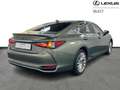 Lexus ES 300 300h Privilege Line Verde - thumbnail 14