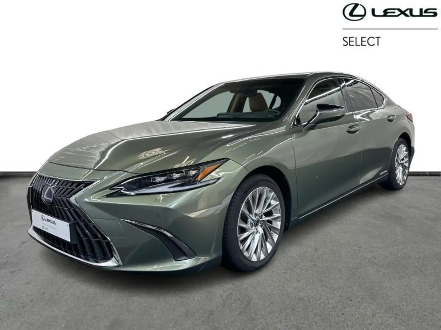 Lexus ES 300 300h Privilege Line Verde - 1
