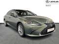 Lexus ES 300 300h Privilege Line Verde - thumbnail 15