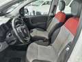 Fiat Panda 1.2 Easy Blanc - thumbnail 10