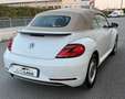 Volkswagen Maggiolino Cabrio 2.0 tdi Design 110cv dsg Blanc - thumbnail 5