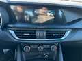 Alfa Romeo Stelvio 2.2 Turbodiesel 160 CV AT8 RWD Sprint PROMO CON FI Nero - thumbnail 13