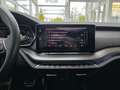 Skoda Octavia Combi RS Panorama Rückfahrkamera Head-Up Gris - thumbnail 42