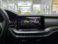 Skoda Octavia Combi RS Panorama Rückfahrkamera Head-Up Gris - thumbnail 41