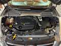 Ford Kuga 2.0 TDCi 4x4 Aut. Champions Edition Grau - thumbnail 17