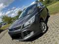 Ford Kuga 2.0 TDCi 4x4 Aut. Champions Edition Grau - thumbnail 14