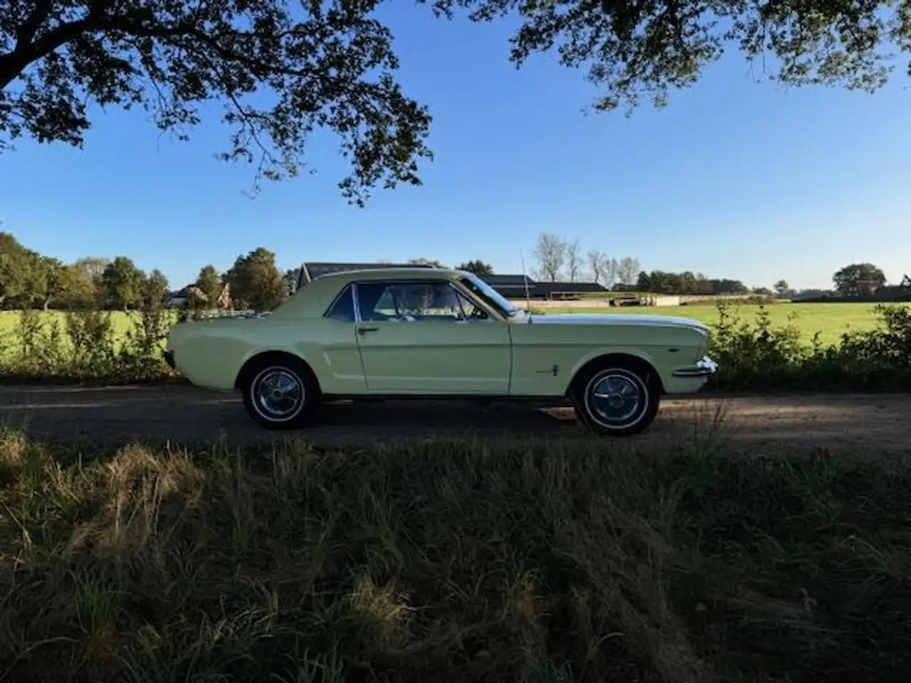 Ford Mustang USA Coupe 289cui V8 Automaat 1965, foto 3
