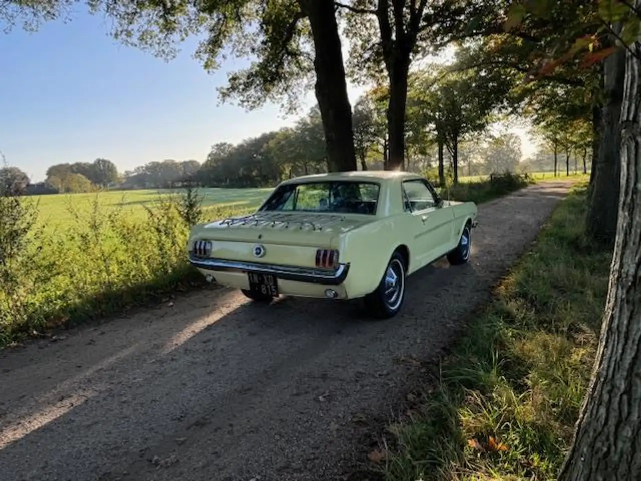 Ford Mustang USA Coupe 289cui V8 Automaat 1965, foto 6