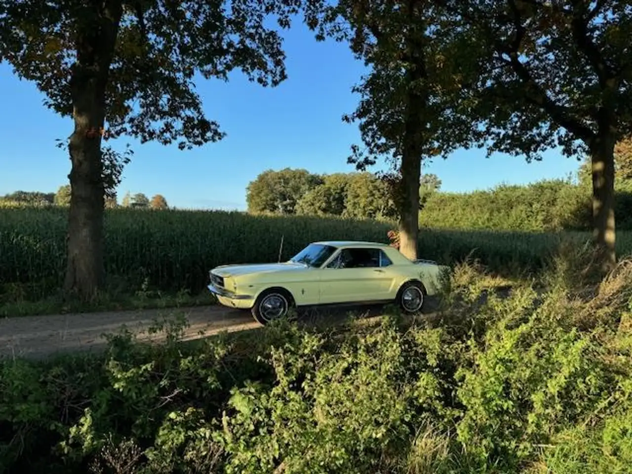 Ford Mustang USA Coupe 289cui V8 Automaat 1965, foto 12
