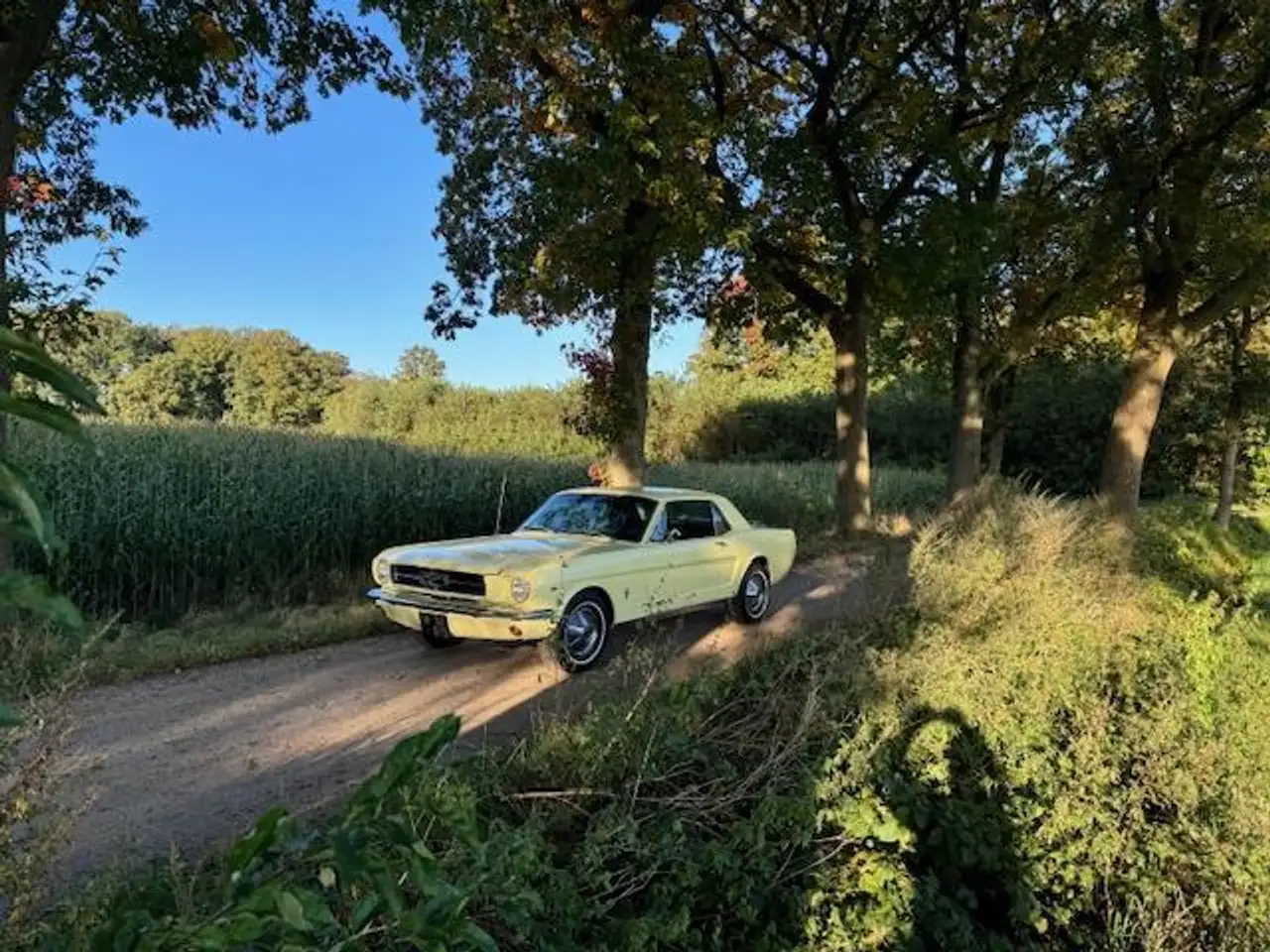 Ford Mustang USA Coupe 289cui V8 Automaat 1965, foto 11