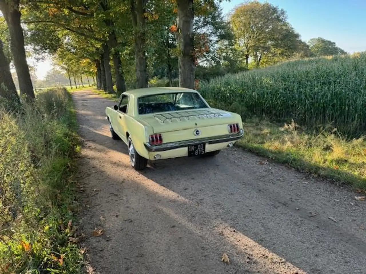 Ford Mustang USA Coupe 289cui V8 Automaat 1965, foto 8