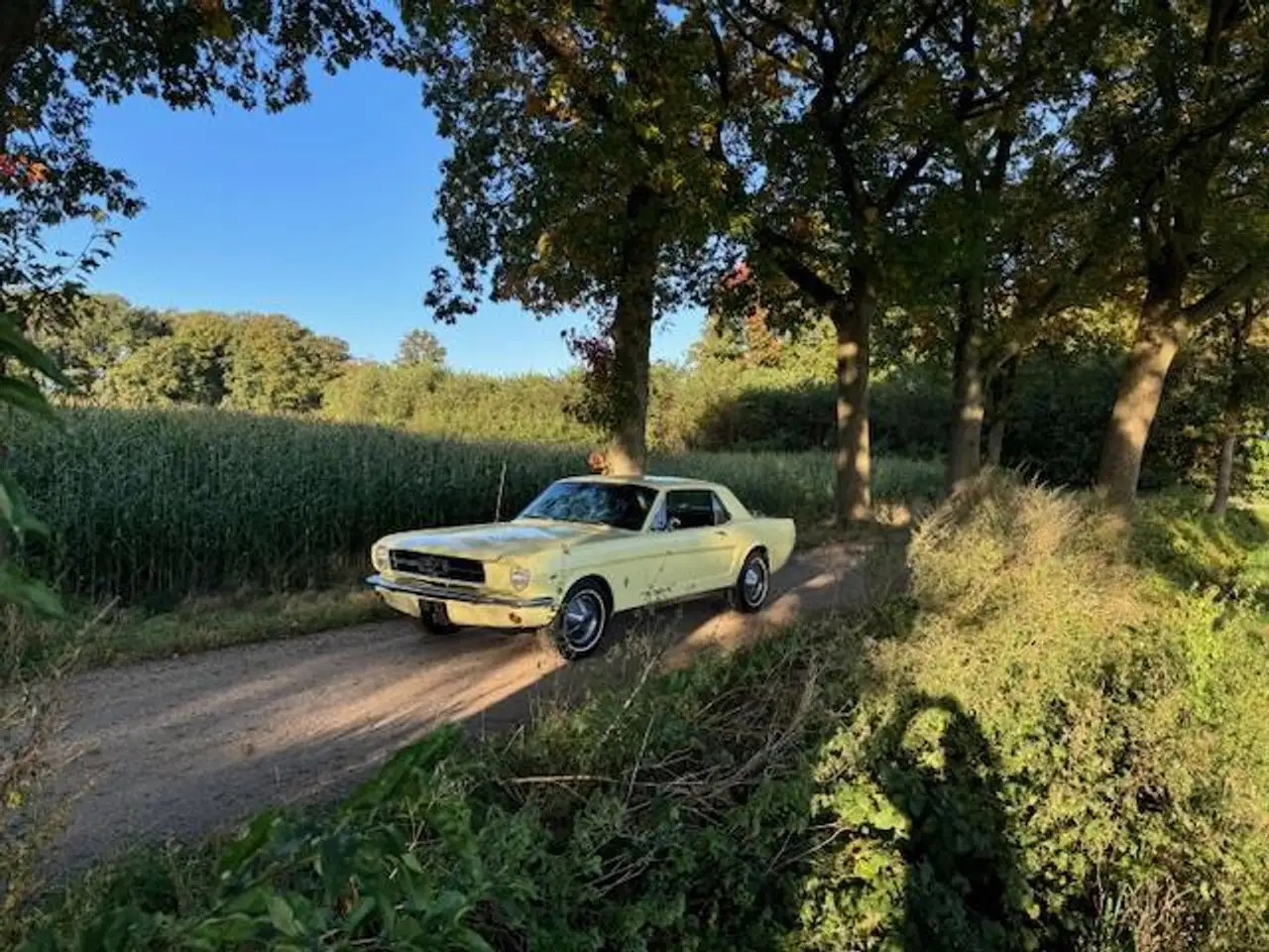Ford Mustang USA Coupe 289cui V8 Automaat 1965, foto 10