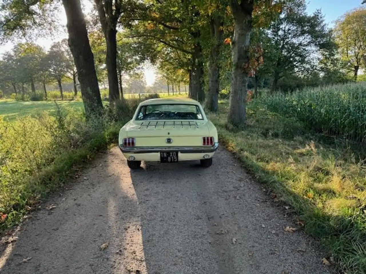 Ford Mustang USA Coupe 289cui V8 Automaat 1965, foto 7