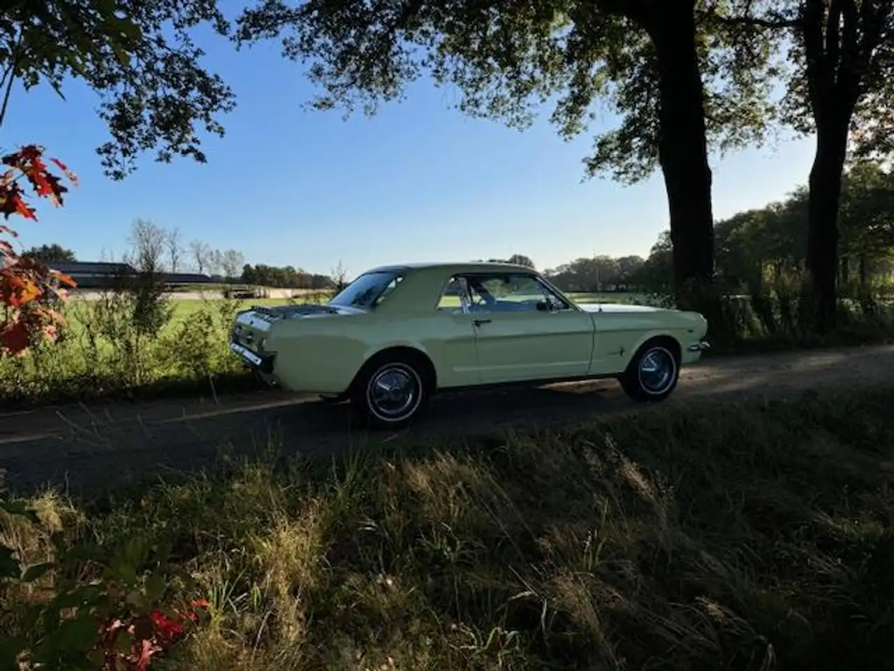 Ford Mustang USA Coupe 289cui V8 Automaat 1965, foto 5