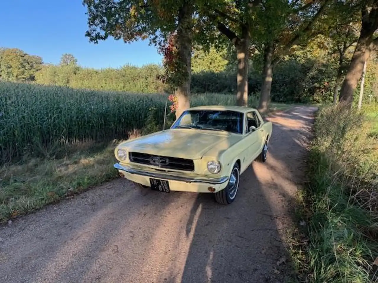 Ford Mustang USA Coupe 289cui V8 Automaat 1965, foto 9