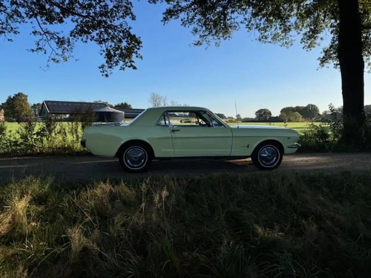 Ford Mustang USA Coupe 289cui V8 Automaat 1965, foto 4