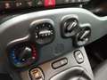 Fiat Panda Hybrid 1.0 Gse 51kw (70CV) - thumbnail 17