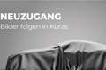 SEAT Ibiza Pickerl NEU Grau - thumbnail 2