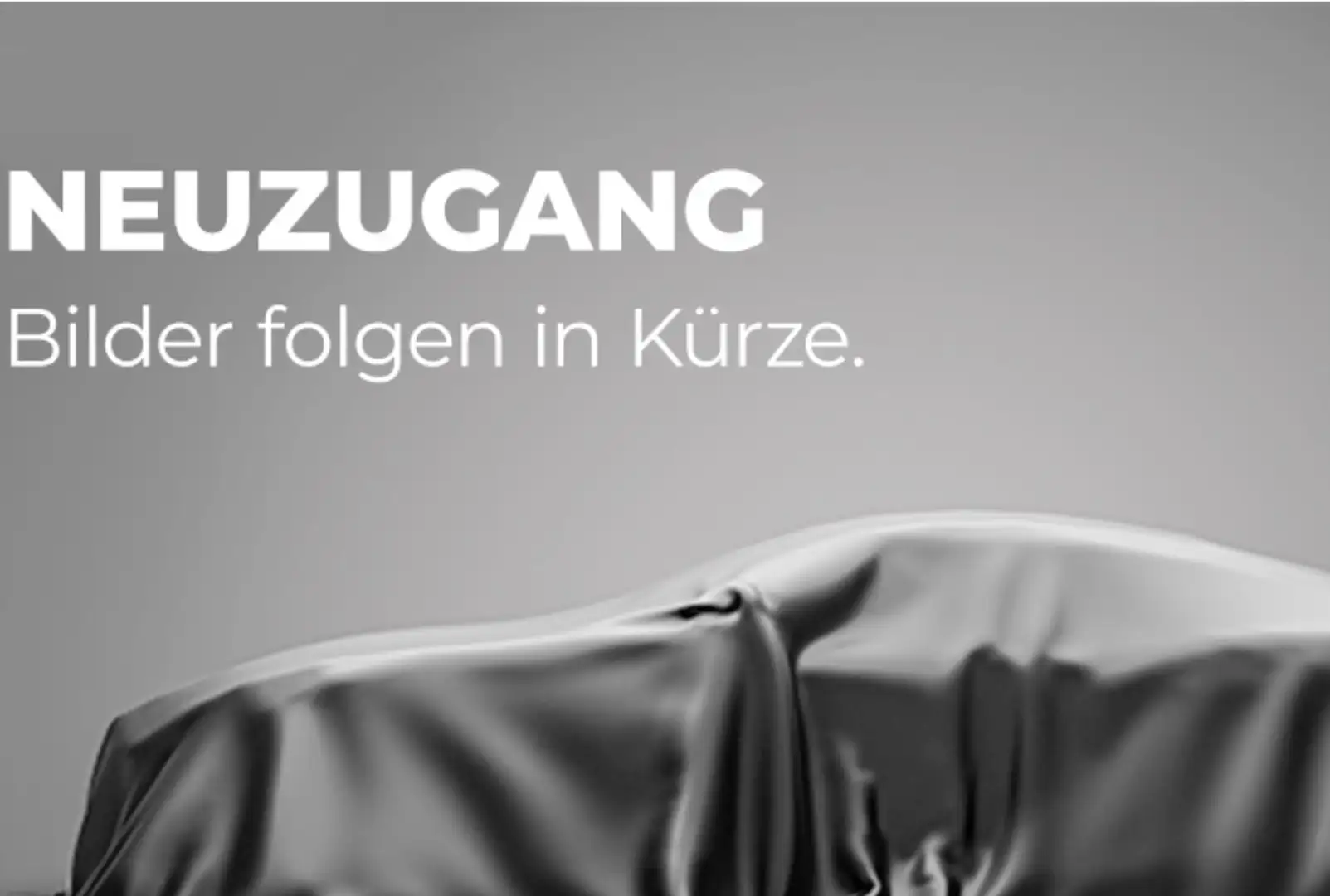 SEAT Ibiza Pickerl NEU Grau - 2