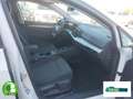 Volkswagen Golf Variant 2.0TDI 85kW Life DSG Weiß - thumbnail 7
