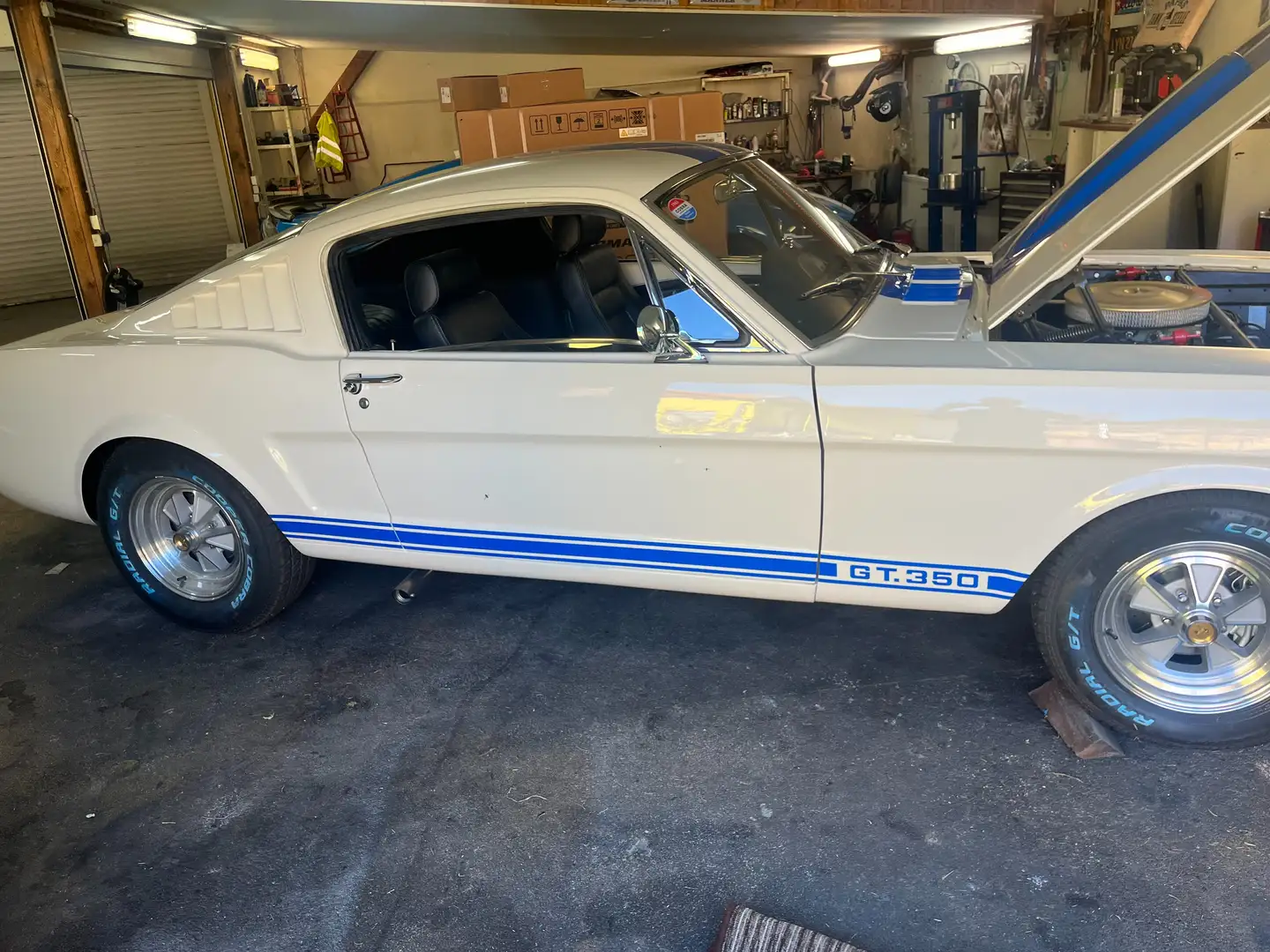 Ford Mustang Shelby GT350 Weiß - 1