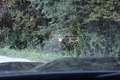 BMW X1 18 d Aut. ACC*SHADOW LINE*HEAD-UP*LED*NAVI*1 HAND* Schwarz - thumbnail 10