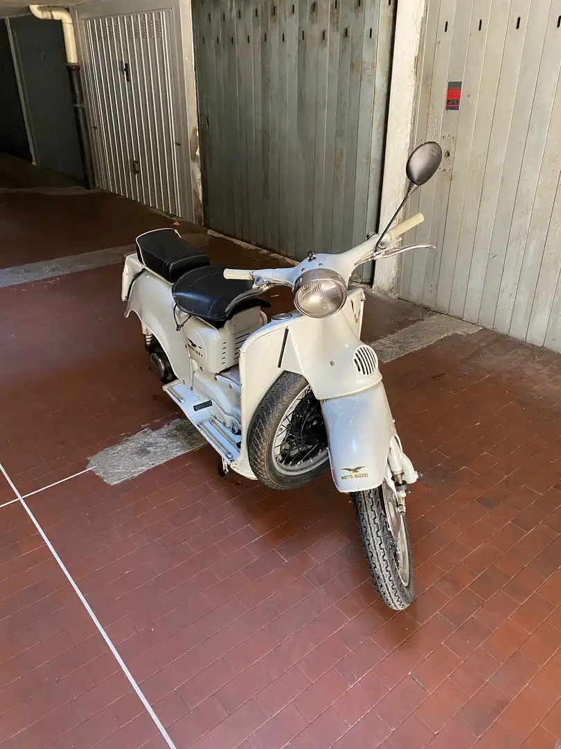 Moto Guzzi Galletto Wit - 1