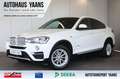 BMW X4 xDrive 20 d xLine HUD+KEY+KAM+XEN+LEDER+AHK Weiß - thumbnail 1