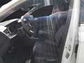 Volkswagen Polo R-Line DSG NAVI LED AppConnect Grün - thumbnail 13