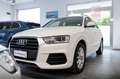 Audi Q3 Q3 2.0 tdi Design 150cv s-tronic INTERNO IN PELLE Blanco - thumbnail 18