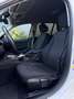 BMW 318 3-serie 318i Executive M19 NAVI PDC ELEK PAKKET SP Blanco - thumbnail 22