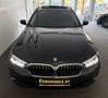 BMW 520 d xDrive Luxury Line *RFK*PANO*4ZONE*Business-P* Weiß - thumbnail 10