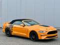 Ford Mustang GT Cabrio EU Modell COC Performance LED Oranj - thumbnail 4
