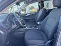 Ford Kuga 2.5 Duratec FHEV ST-Line AWD Aut. Gris - thumbnail 14