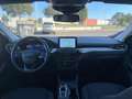 Ford Kuga 2.5 Duratec FHEV ST-Line AWD Aut. Gris - thumbnail 12