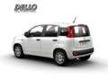 Fiat Panda Gewerbeleasing Klimaanlage Parkpilot ZV Weiß - thumbnail 3