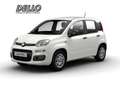 Fiat Panda Gewerbeleasing Klimaanlage Parkpilot ZV Weiß - thumbnail 1