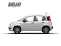 Fiat Panda Gewerbeleasing Klimaanlage Parkpilot ZV Weiß - thumbnail 2