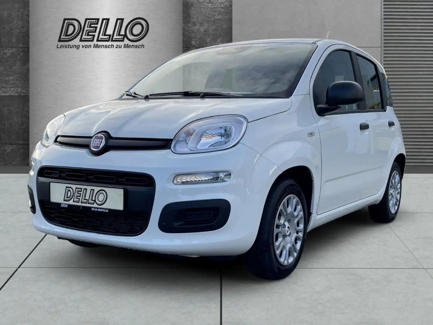 Fiat Panda Gewerbeleasing Klimaanlage Parkpilot ZV Blanc - 1