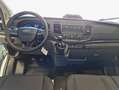 Ford Transit 290 L2H2 Lkw VA Basis Radio/Klima/PDC Bianco - thumbnail 9