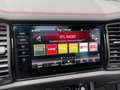 Skoda Kodiaq 2,0TSi RS 4x4 AHK Pano Canton Standhz DCC Blau - thumbnail 24