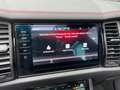 Skoda Kodiaq 2,0TSi RS 4x4 AHK Pano Canton Standhz DCC Blau - thumbnail 23