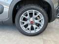 Fiat Panda 1.0 FireFly Hybrid City Life 5 posti Grigio - thumbnail 8