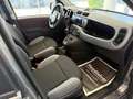 Fiat Panda 1.0 FireFly Hybrid City Life 5 posti Grigio - thumbnail 13