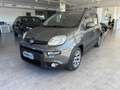 Fiat Panda 1.0 FireFly Hybrid City Life 5 posti Grigio - thumbnail 1