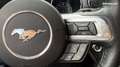 Ford Mustang 3.7 V6 305ch Kit GT 500 Grau - thumbnail 23