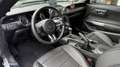 Ford Mustang 3.7 V6 305ch Kit GT 500 Grau - thumbnail 30