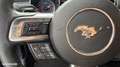 Ford Mustang 3.7 V6 305ch Kit GT 500 Grau - thumbnail 22